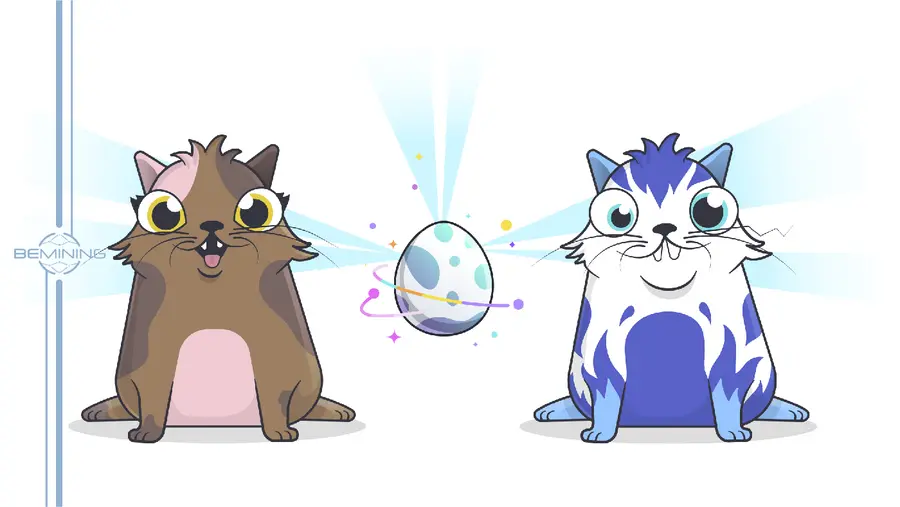 CryptoKitties: котики, которые сломали сеть