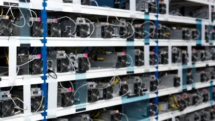 Суд в Казахстане приговорил организатора нелегальной криптофермы к реальному сроку