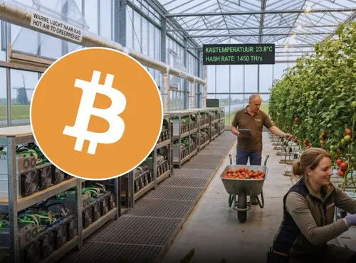 Нидерландские фермеры превращают майнинг биткоинов в систему отопления теплиц