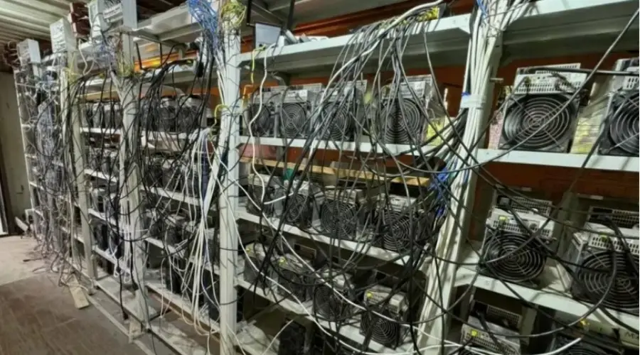 Костромской области накрыли две фермы-невидимки с ущербом в 9 миллионов