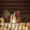 Пензенский майнинг: от подпольных ферм в банях до птицеферм