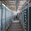 TeraWulf и Anthropic подписали двадцатилетний контракт на аренду мощностей для майнинга