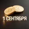 Хардфорк Bitcoin 1 сентября 2026: что нужно знать владельцам криптовалюты